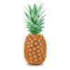 Pineapple (Tropical Gold)